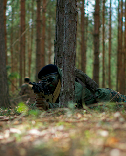 Rifles y pistolas deportivas